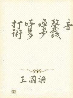 打呼噜声音大手术多少钱封面