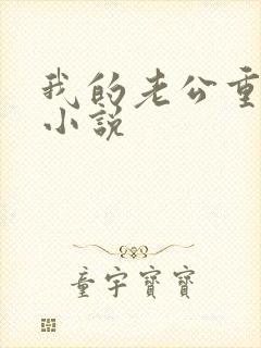 我的老公重生了小说