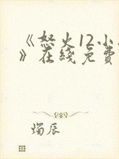 《怒火12小时》在线免费观看封面