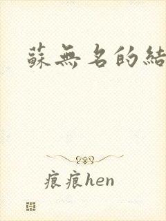 苏无名的结局封面