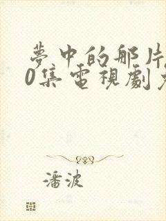 梦中的那片海40集电视剧免费观看