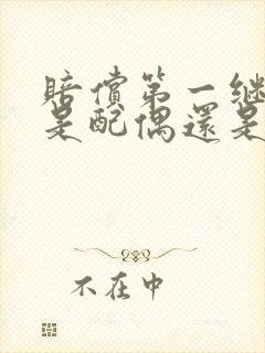 赔偿第一继承人是配偶还是子女封面