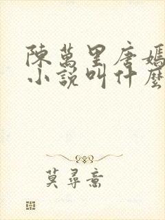 陈万里唐嫣然的小说叫什么