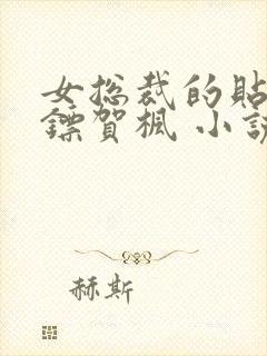 女总裁的贴身保镖贺枫 小说