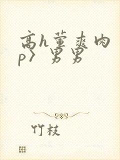 高h荤爽肉〈np〉男男