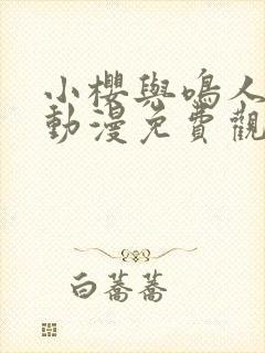 小樱与鸣人之夜动漫免费观看全集