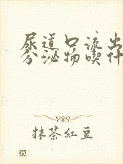 尿道口流出微黄分泌物吃什么才会好