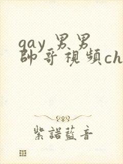 gay 男男 帅哥视频chinese