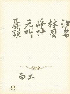 聂元峥林汐汐小说叫什么名字