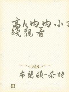 高h肉肉小说在线观看