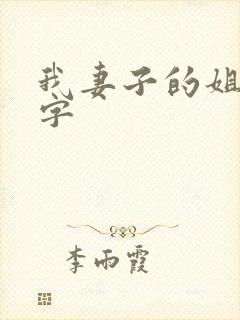 我妻子的姐姐中字封面