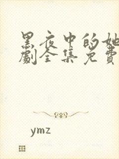 黑夜中的她电视剧全集免费观看