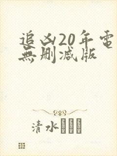 追凶20年电影无删减版