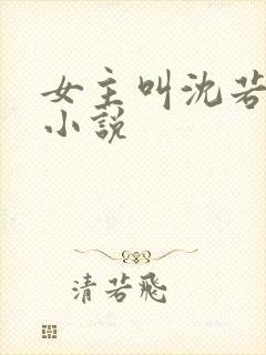 女主叫沈若初的小说