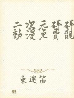 二次元砰砰砰的动漫免费观看全集