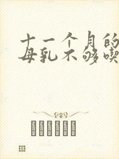 十一个月的宝宝母乳不够吃怎么办