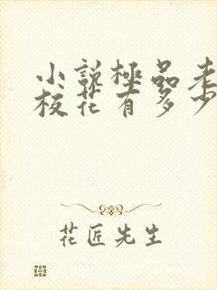 小说极品老师俏校花有多少章