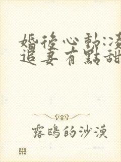 婚后心动:凌总追妻有点甜全文免费阅读封面