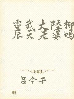 灵武大陆柳岩是辰天老婆吗