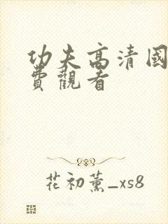 功夫高清国语免费观看