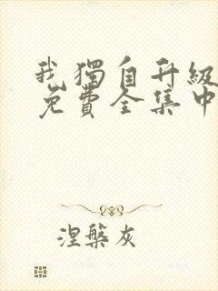 我独自升级动漫免费全集中文版