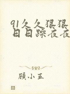 91久久狠狠躁日日躁夜夜躁