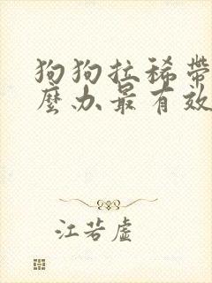 狗狗拉稀带血怎么办最有效的方法