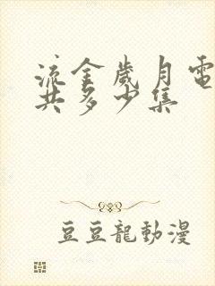 流金岁月电视剧共多少集