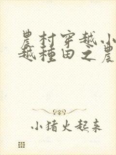 农村穿越小说穿越种田之农家女封面