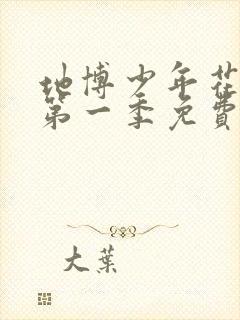 地博少年花子君第一季免费