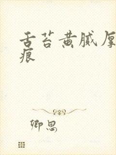 舌苔黄腻厚有齿痕