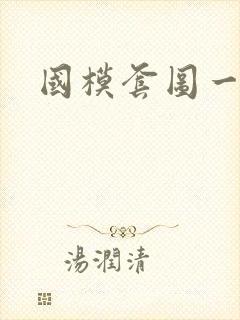 国模套图一区封面