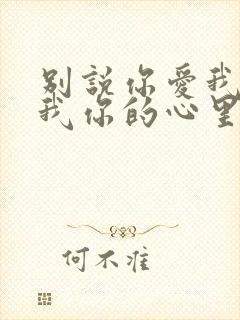 别说你爱我你想我你的心里根本没有我歌词