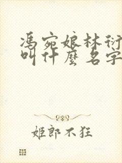 冯宛娘林衍小说叫什么名字封面