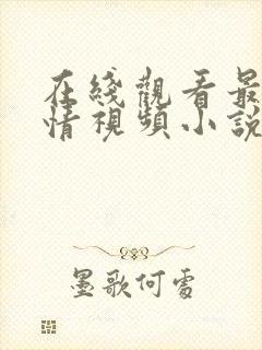 在线观看最新激情视频小说