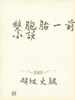 双胞胎一前一后小说