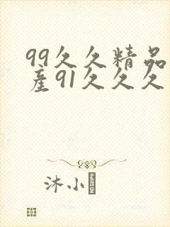 99久久精品国产91久久久