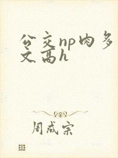 公交np肉多荤文高h