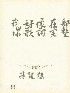 我好像在哪见过你歌词完整版