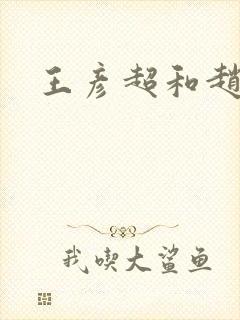 王彦超和赵匡胤