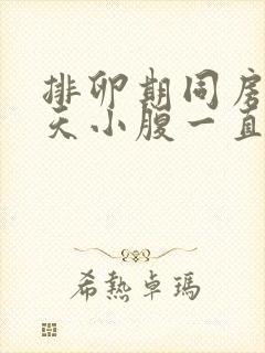 排卵期同房后几天小腹一直隐隐作痛封面