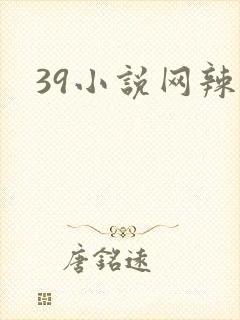 39小说网辣文