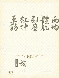 单杠引体向上用的什么肌肉封面