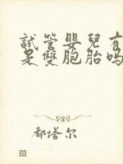 试管婴儿有可能是双胞胎吗封面