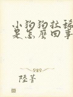 小狗狗拉稀带血是怎么回事