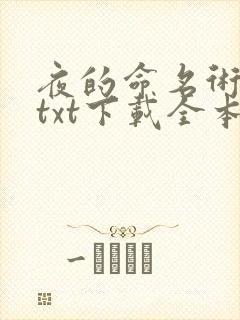 夜的命名术小说txt下载全本