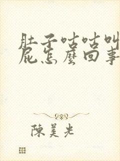 肚子咕咕叫总放屁怎么回事封面