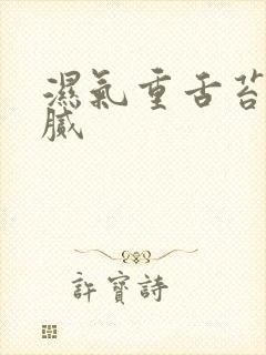 湿气重舌苔白厚腻