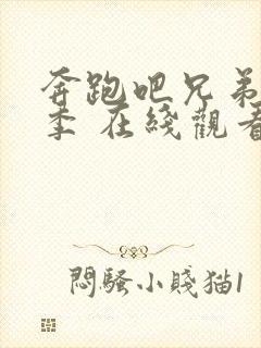 奔跑吧兄弟 4季 在线观看