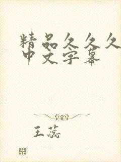 精品久久久亚洲中文字幕